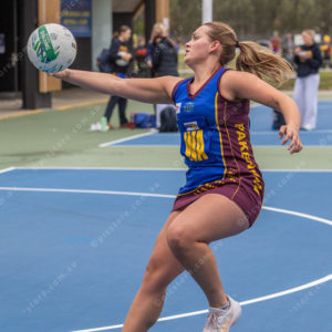 PakNetball 2809442
