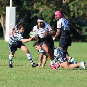 RugbyCQ 2808812