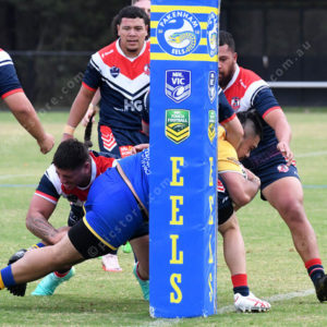 RugbyEels 2791198