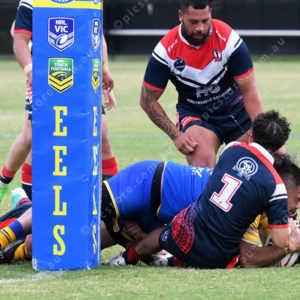 RugbyEels 2791199