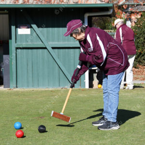 croquet 2813530