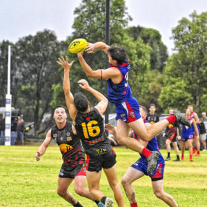 gflfooty 2791108