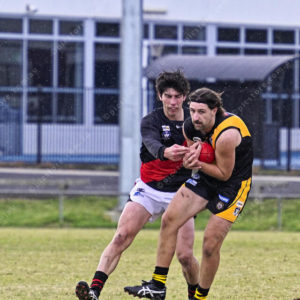 gflfooty 2808927