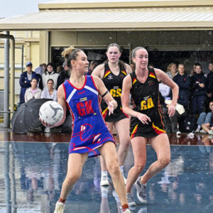 gnlnetball 2790903