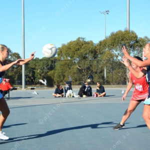 netball 2802678