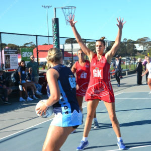 netball 2802679