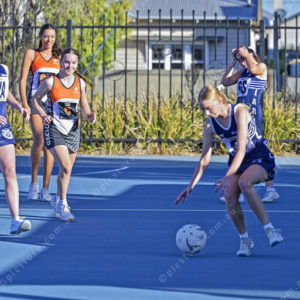 netball 2803338