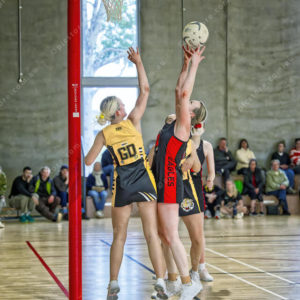 netball 2809086