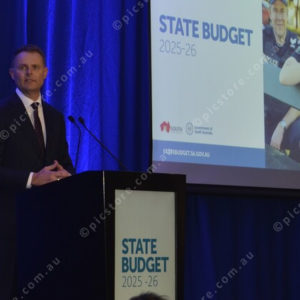 Budget 2825315