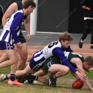 Footy11