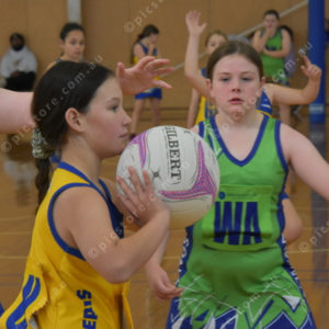 Netball11 2833460