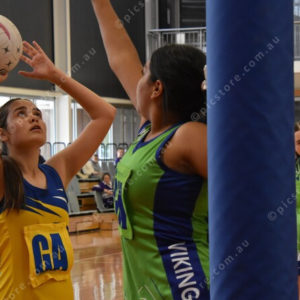 Netball11 2833465