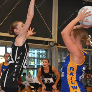 Netball11 2833468