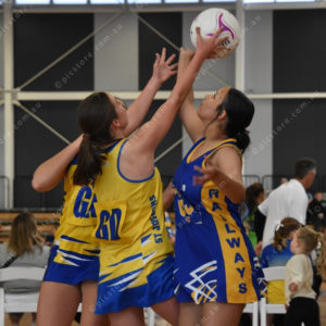 Netball11 2838135