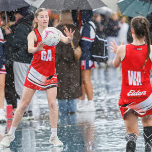 Netball 2827672
