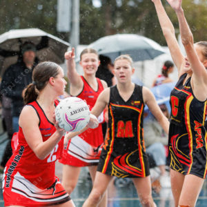 Netball 2827674