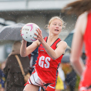 Netball 2827676