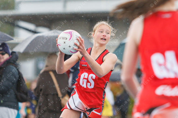 Netball 2827676