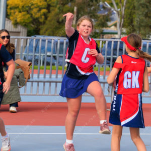 Netball 2832329