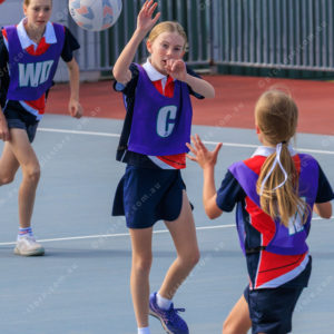 Netball 2832331