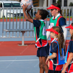 Netball 2832334