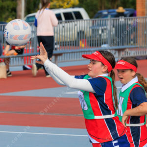 Netball 2832335