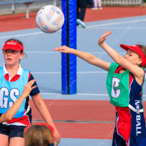 Netball 2832336