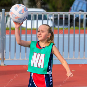 Netball 2832337