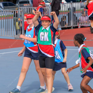 Netball 2832340