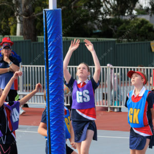Netball 2832342
