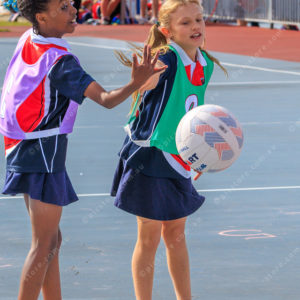 Netball 2832345