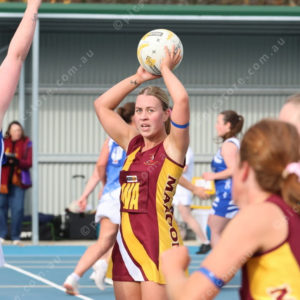 Netball 2833841