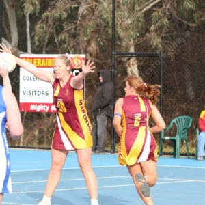 Netball 2833845
