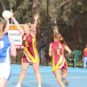 Netball 2833846
