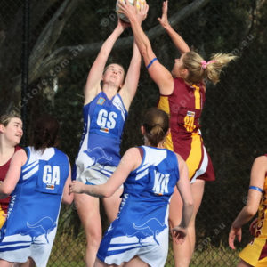 Netball 2833849