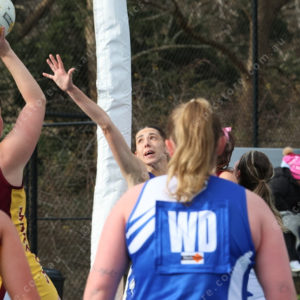 Netball 2833850