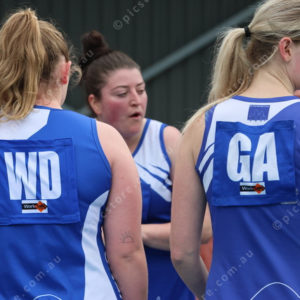 Netball 2833857