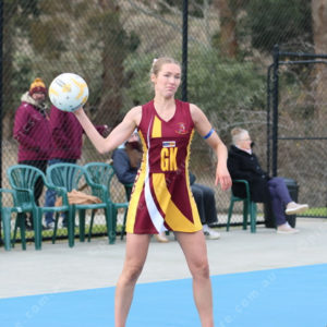 Netball 2833859
