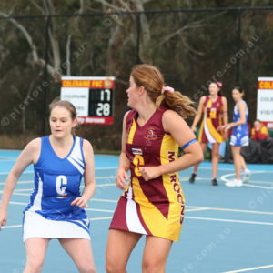 Netball 2833861