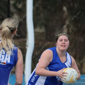Netball 2833870