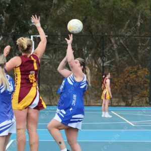 Netball 2833872