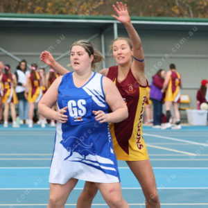Netball 2833873
