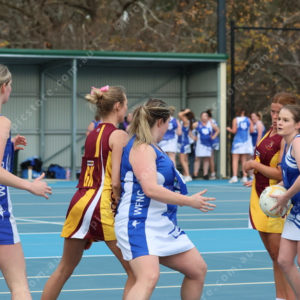 Netball 2833874