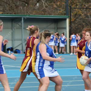 Netball 2833875