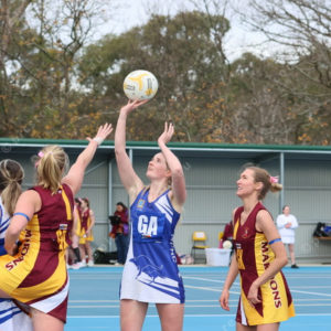Netball 2833877