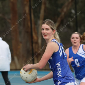 Netball 2833879