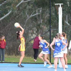 Netball 2833880