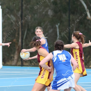 Netball 2833882