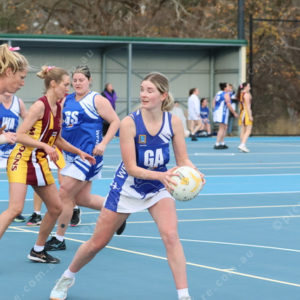 Netball 2833883