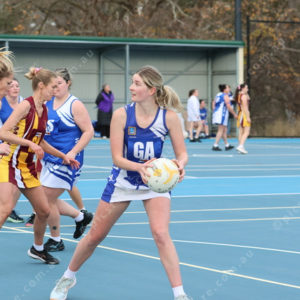 Netball 2833884